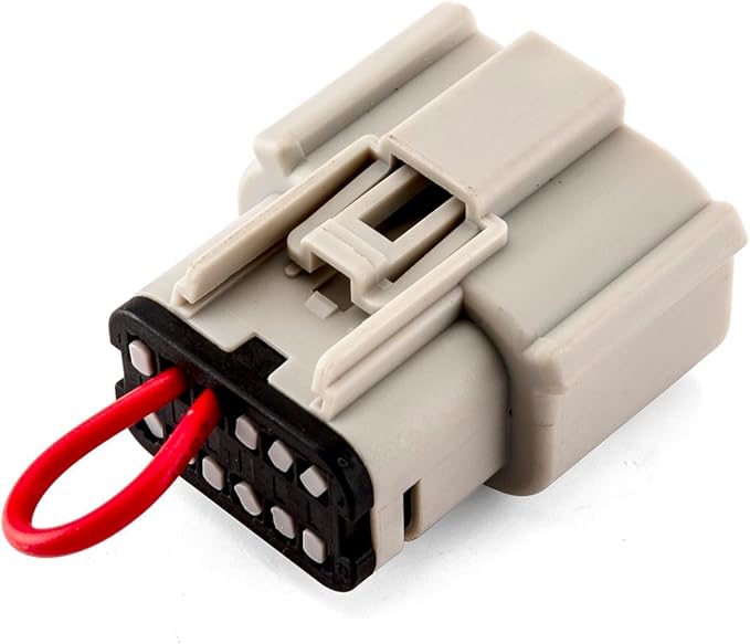 CP PLUG